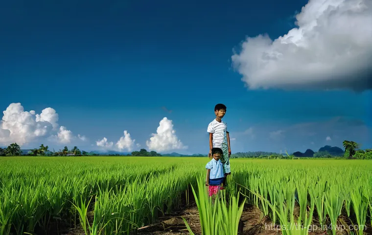 기상조절 기술의 지속 가능성 평가 - **Prompt 1: Royal Rainmaking (ฝนหลวง) in Thailand.**
    "A heartwarming scene in a vibrant Thai rur...
